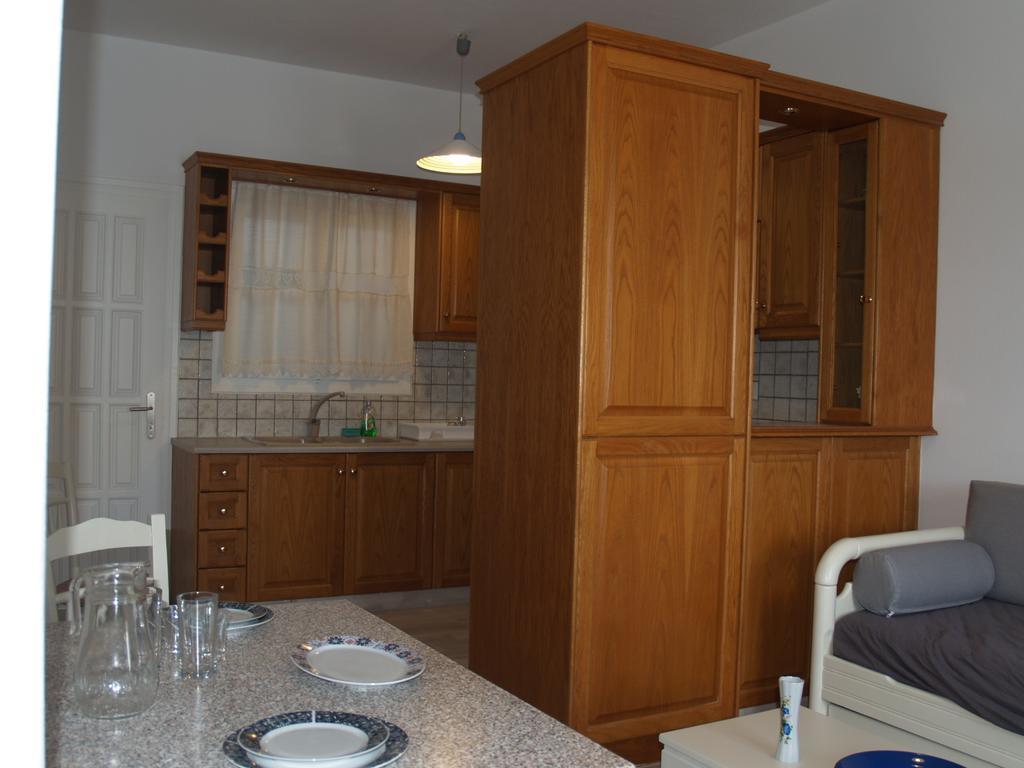 Vasiliki's House Apartment Naxos City