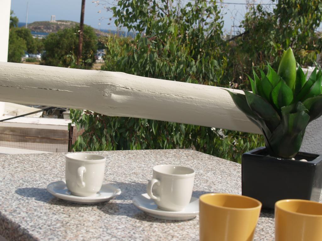 Apartment Vasiliki's House Naxos City